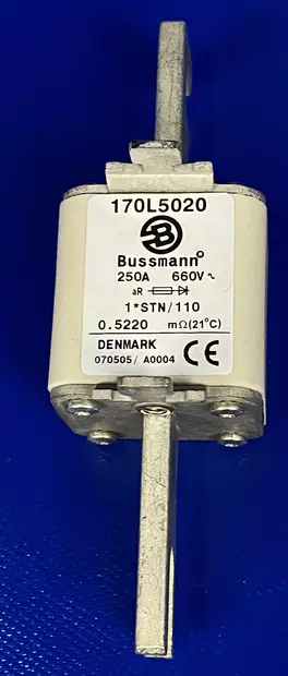 1*ST/110 250A 660V aR Erik.nop.kahvavaroke - Erikoisnopeat NH kahvasulakkeet pulttiki - 170L5020 - 1